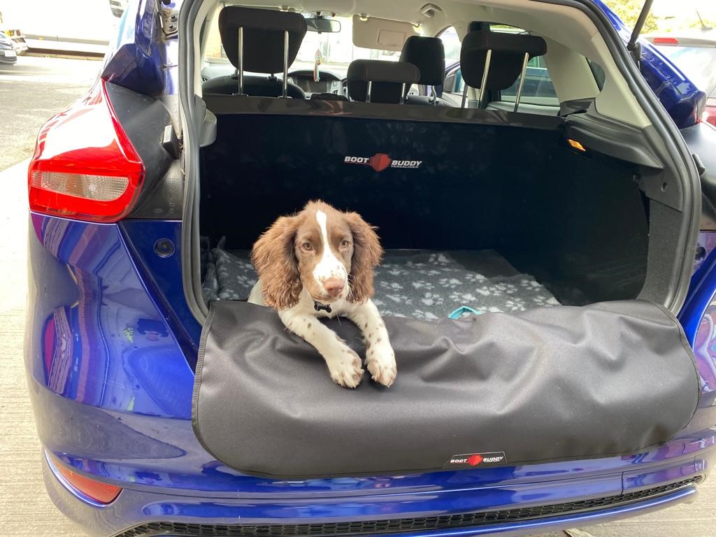 Puppy love! 😍 We are slightly swooning over 'Oakley' posing in his new kit 🥰 

#YorkshireHour #ShropshireHour #CambsHour #OxHour #MidlandsHour #SalisburyHour #suahour #WarwickHour #westmidlandshour #CardiffHour #StaffordshireHour #woofwoofwednesday