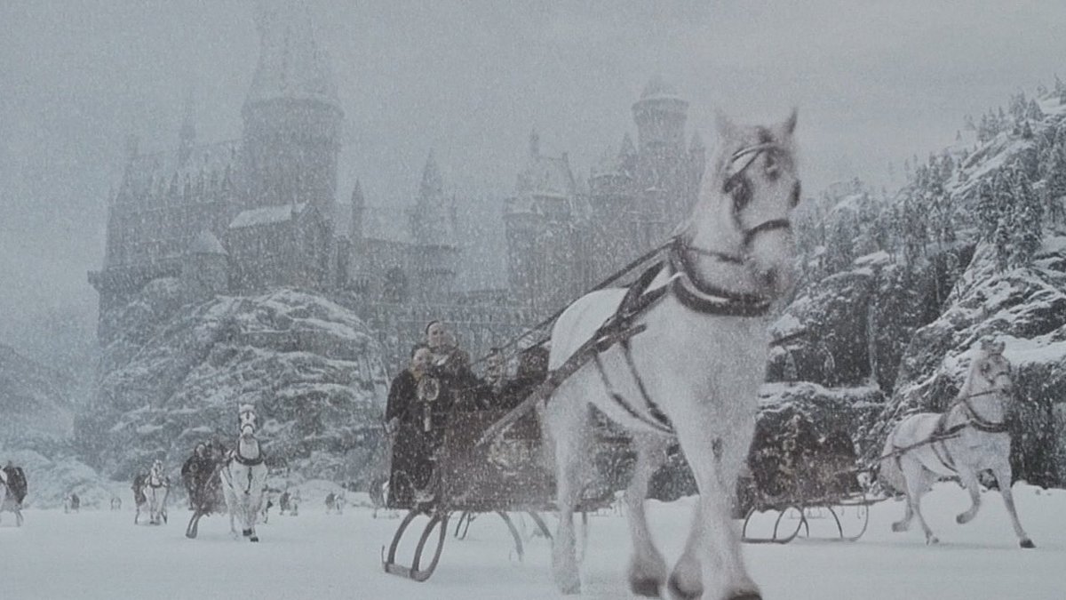 Ojala una Navidad en Hogwarts.