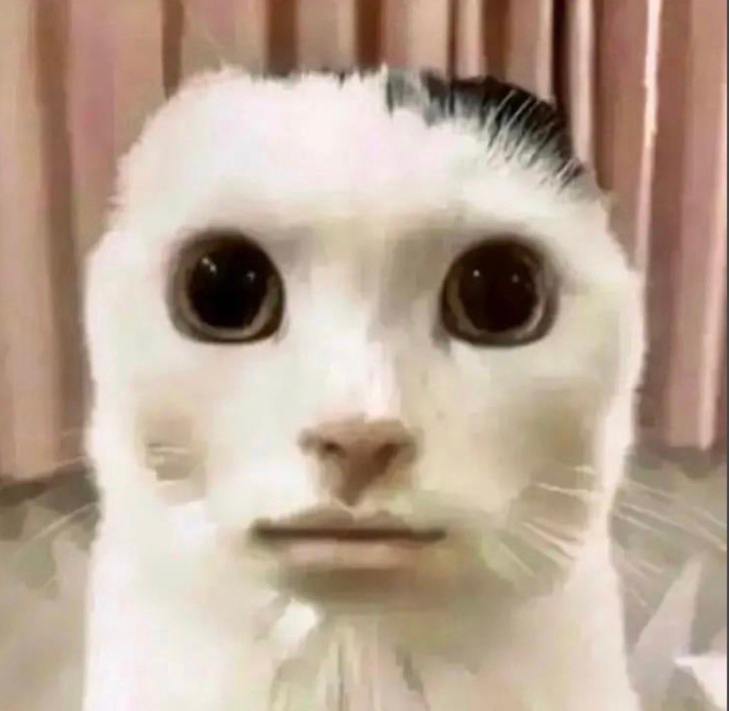 SirSaibott's tweet photo. @sailorbruu Are you serious right meow? https://t.co/9VuzyVW2ZN