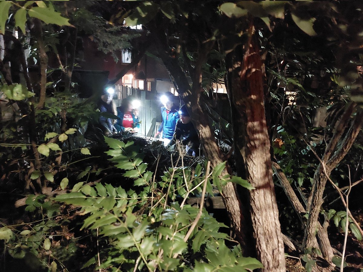 It's always shorts weather when you're having fun, right? 😅