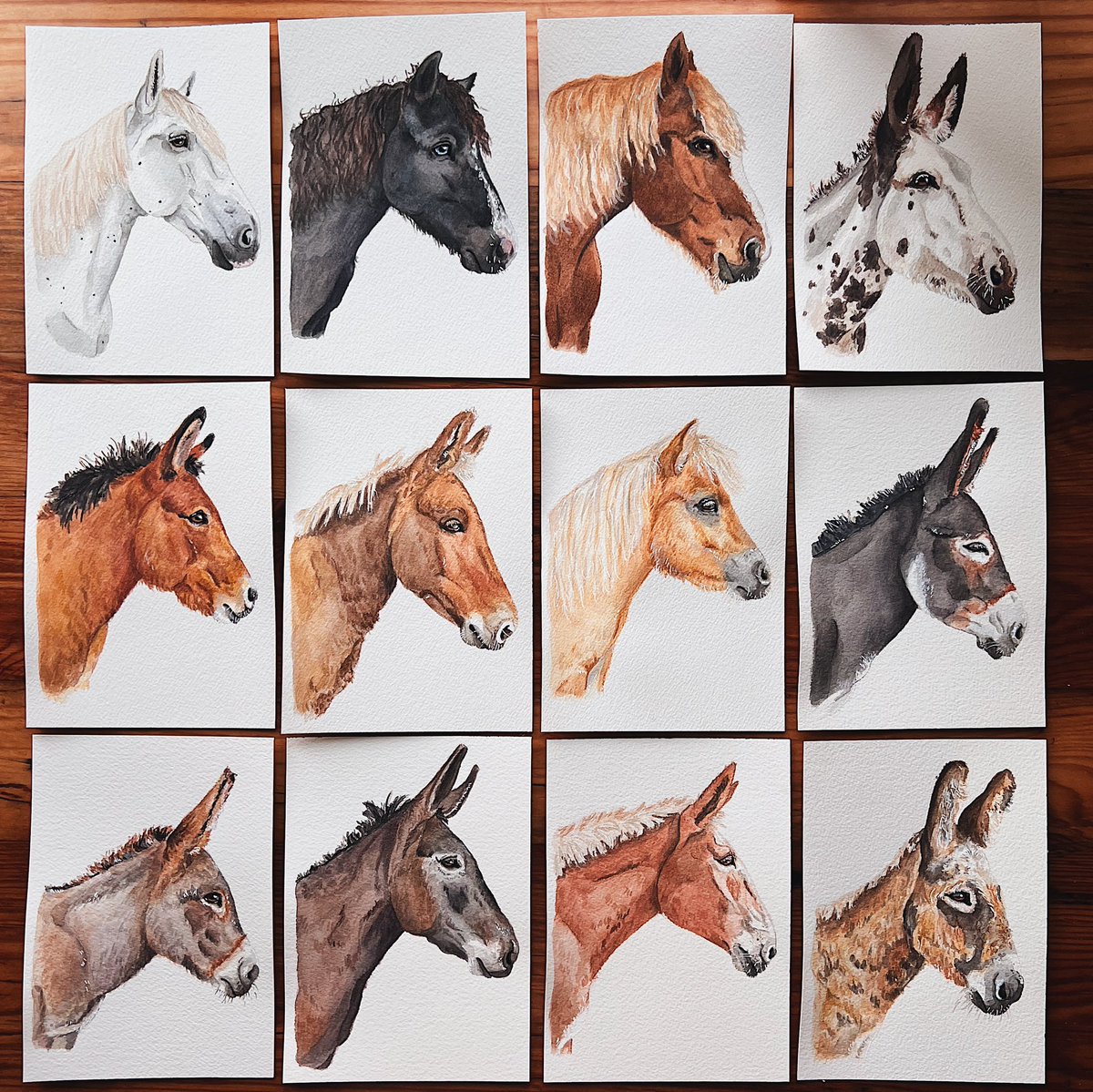 JulieK_Art's tweet photo. Before and after of this 12 part project! I’ll be designing a poster with all 12 species for the Sanctuary at Red Bell Run! 🐴
#illustration #watercolorpainting #animalrescue https://t.co/YkC9zjji3h