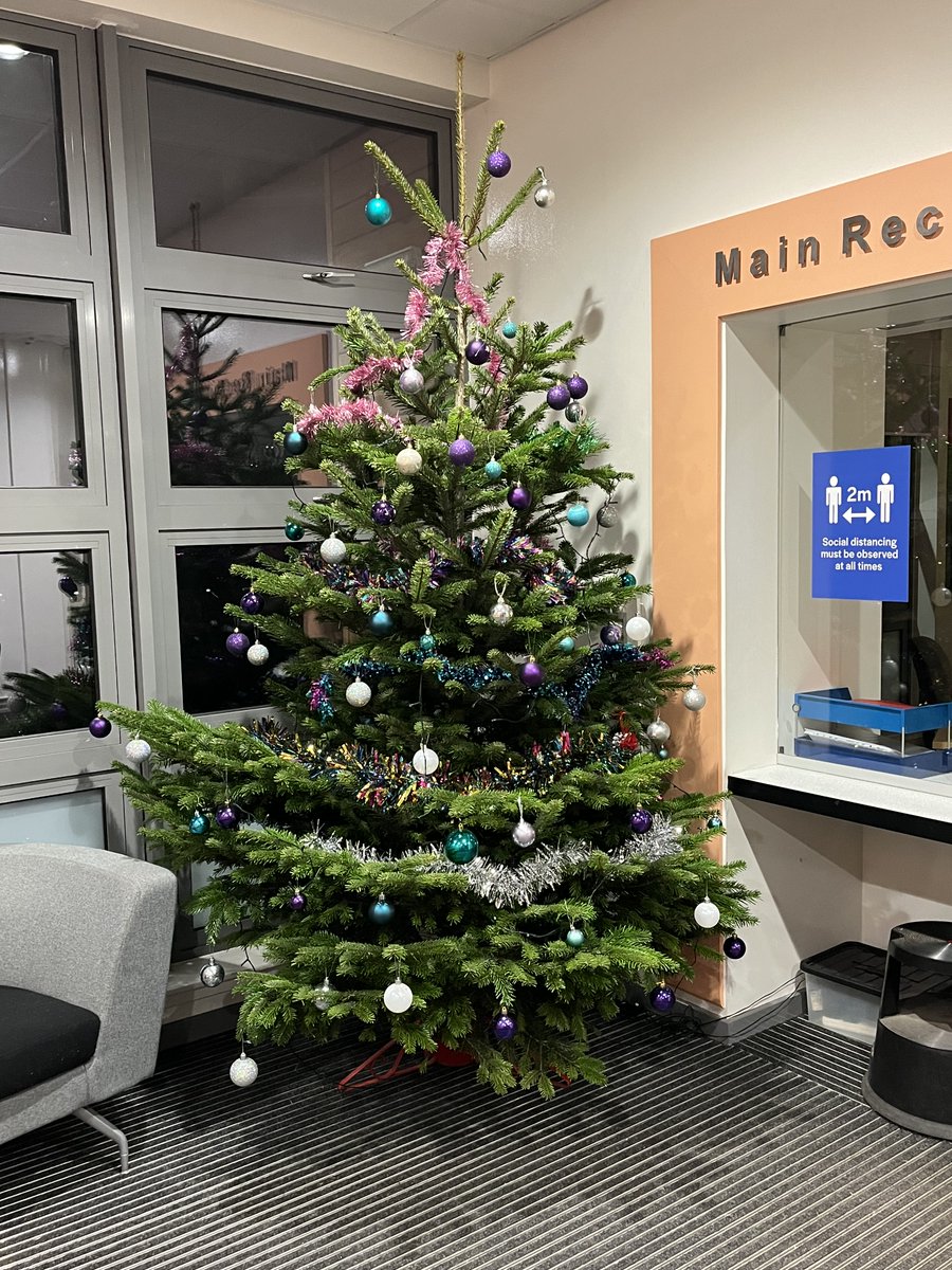 CrookfurPrimary's tweet photo. It's beginning to look a lot like Christmas at Crookfur!
A huge thank you to our wonderful @CrookfurPC members who, along with help from some of our house captains, kindly decorated our Christmas trees! 🎄🥰 
#crookfurcommunity https://t.co/dJqp0OUgdp
