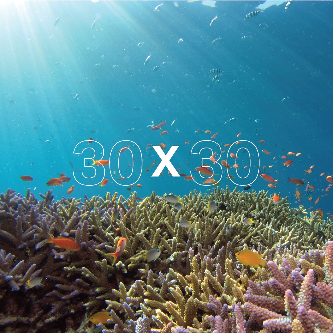 The Chumash Heritage National Marine Sanctuary supports action to reverse biodiversity loss and calls on world leaders to commit to protecting at least 30% of the planet by 2030 and work to secure long term funding for nature. #30x30 #COP15 #CampaignForNature