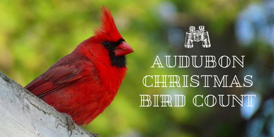 Champaign County Audubon Society tweet media