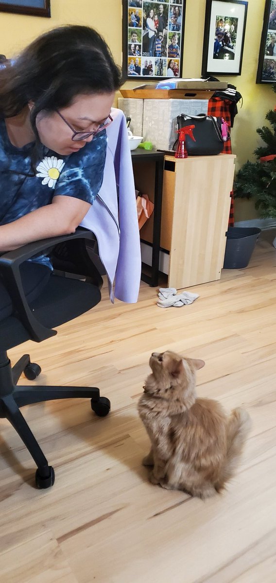 I'm staring at my human.