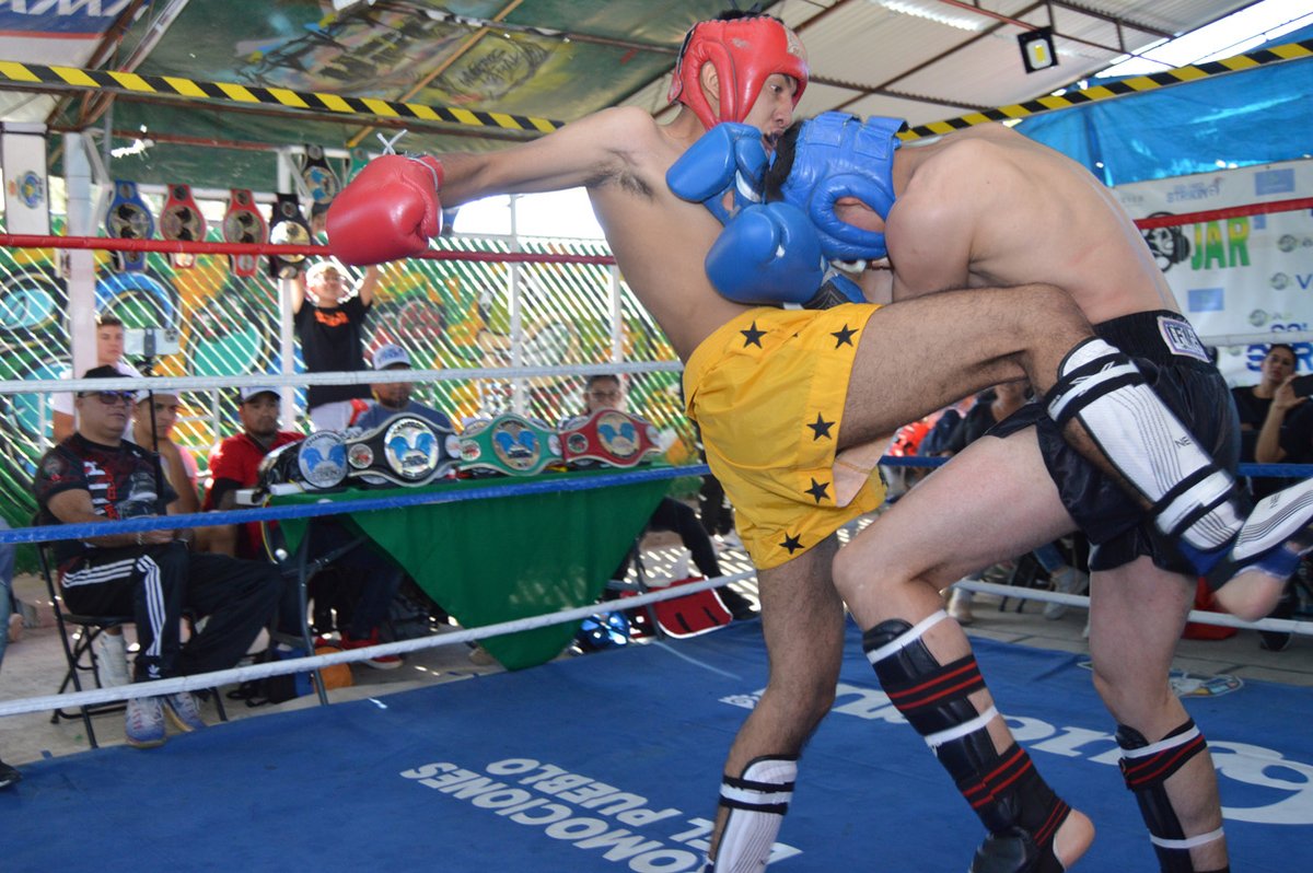 ObserverNR's tweet photo. #Deportes 🥊 | Desde #NicolásRomero, #Edomex; se disfrutaron campeonatos estatales en #ArtesMarciales y #BoxAmateur organizados por #ColiseoStriking y #ColiseoBoxing bajo la dirección de Uriel "Vaquero" Fonseca .
Consulta la galería completa en nuestra página de #Facebook. https://t.co/lih8FWncLl