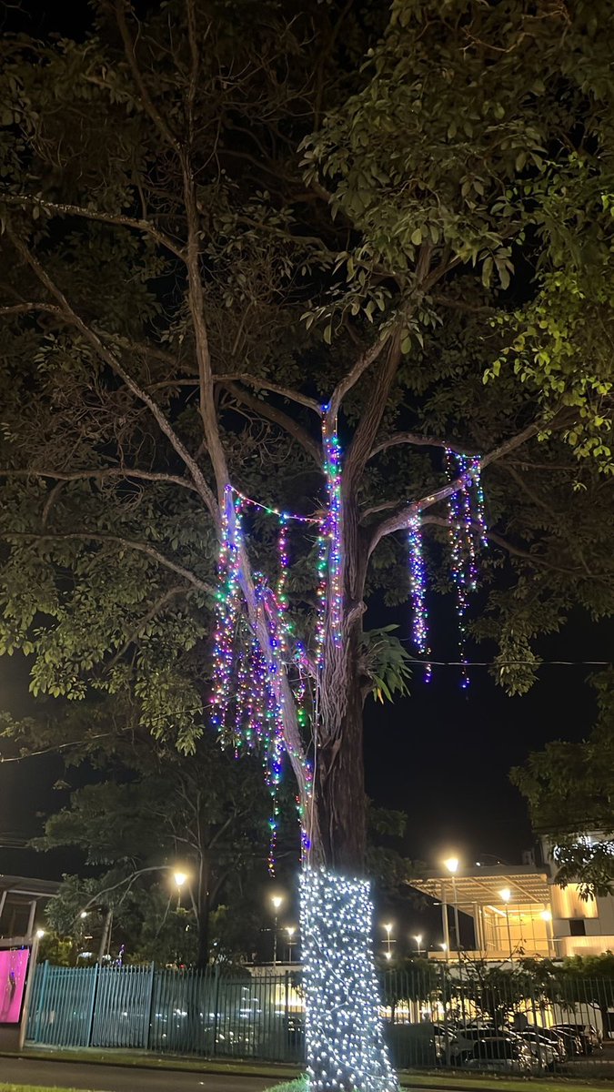 raulconte10's tweet photo. Tema "Encanto" // Tema "Asalto Navideño" https://t.co/dyrDH4OkMp