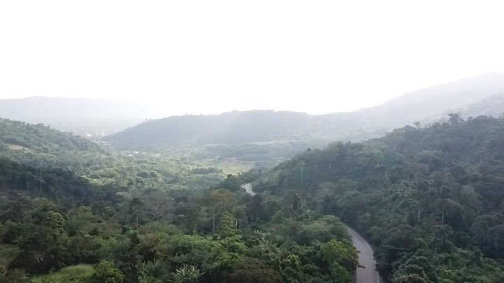 RichardeAddison's tweet photo. The search for white gold. Ghana my happy home. Why are young people saying they are unemployed? Why do we have lol these arable lands and not think of partnering with each other? Why can we as young 🇬🇭 ians come together and look at plantations? Let us look at industrial agric.. https://t.co/YtRCVs0wHx