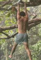 how can someone not like shawn mendes? he’s sweet, talented AND HAVE YOU SEEN HIS BACK MUSCLES my god