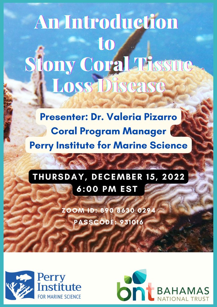 Don't miss our presentation on the deadly spread of #StonyCoralTissueLossDisease next week!  Learn how to spot signs of diseased corals when you're on the water, and what you can do to help protect them in The #Bahamas and throughout the Caribbean.  #CoralConservation