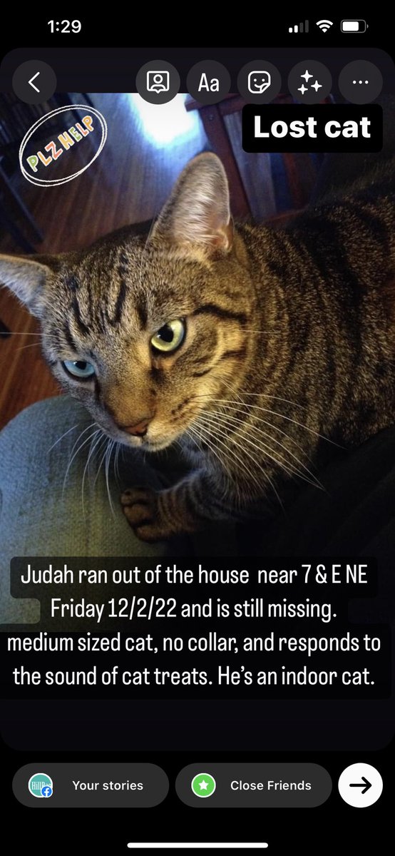 HillRagDC's tweet photo. LOST CAT - Judah ran out of the house  near 7 &amp; E NE Friday 12/2/22 and is still missing. 

He is a gray, striped tabby in the neighborhood. He’s medium sized, about 10 lbs, and does not have a collar, nor is he chipped.

Tips to judahthecat@zurer.com https://t.co/7iwuSus9OS