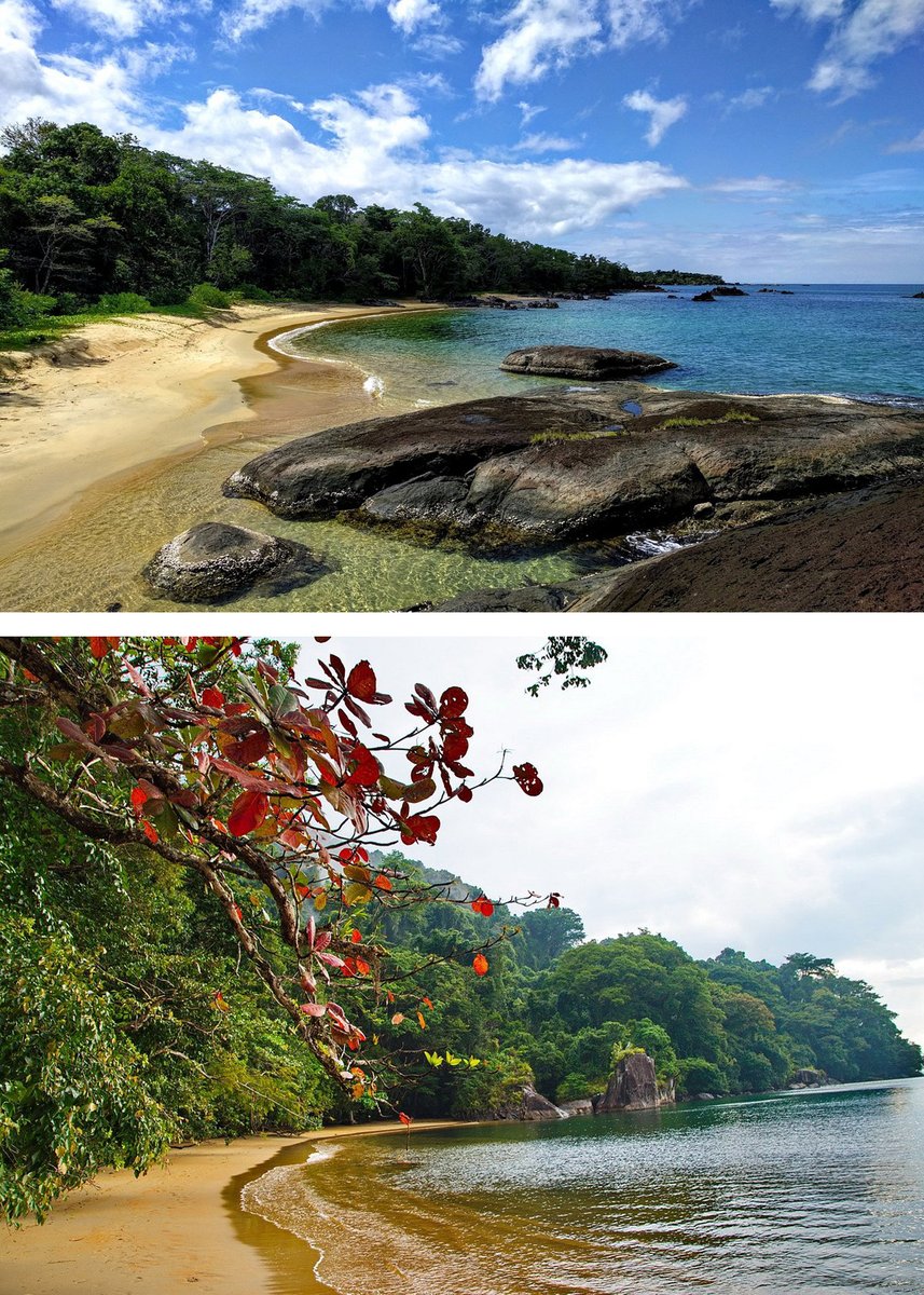 Faites des randonnées en pleine nature! ⛰🏝
La Réserve de Masoala.🐦🦋🐍🦎🕷🌳🌸
Voir aussi mada-books.com/parcs-nationau…
#Madagascar #tourism #nationalpark #madabooksedition