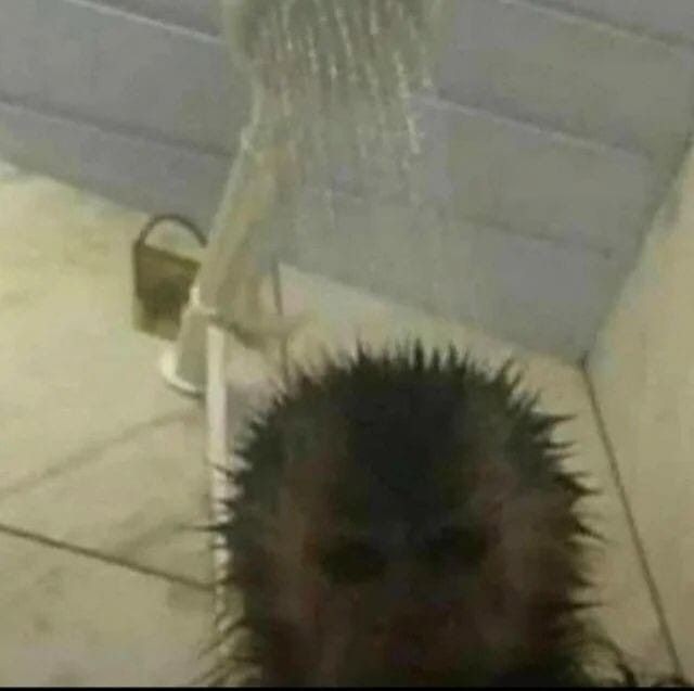 styklt's tweet photo. TW‼️facereveal https://t.co/Pz10rczD7P