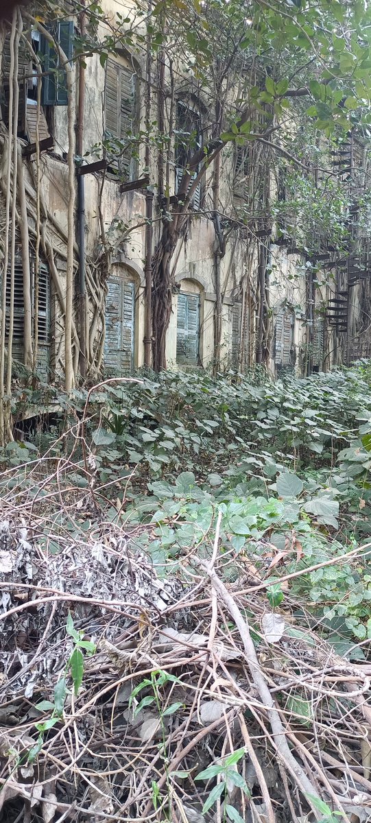 Jitendramallick's tweet photo. Some snaps of a Jute Mill in Kolkata alongside river Ganga, that once been the reason for 1000s of migrant labours settling near the mill, now closed for over 20 yrs
Reason: outdated technology/product, high production cost, environmental regulation or any other- what's your view https://t.co/eTnpZxpy3M