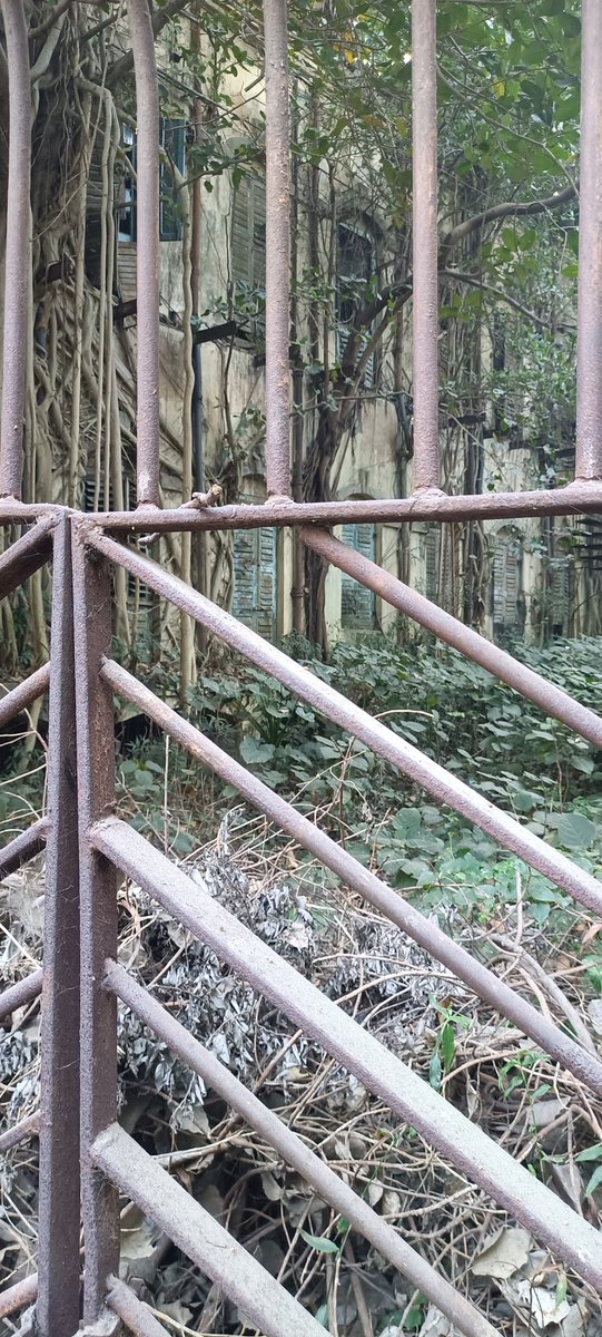 Jitendramallick's tweet photo. Some snaps of a Jute Mill in Kolkata alongside river Ganga, that once been the reason for 1000s of migrant labours settling near the mill, now closed for over 20 yrs
Reason: outdated technology/product, high production cost, environmental regulation or any other- what's your view https://t.co/eTnpZxpy3M