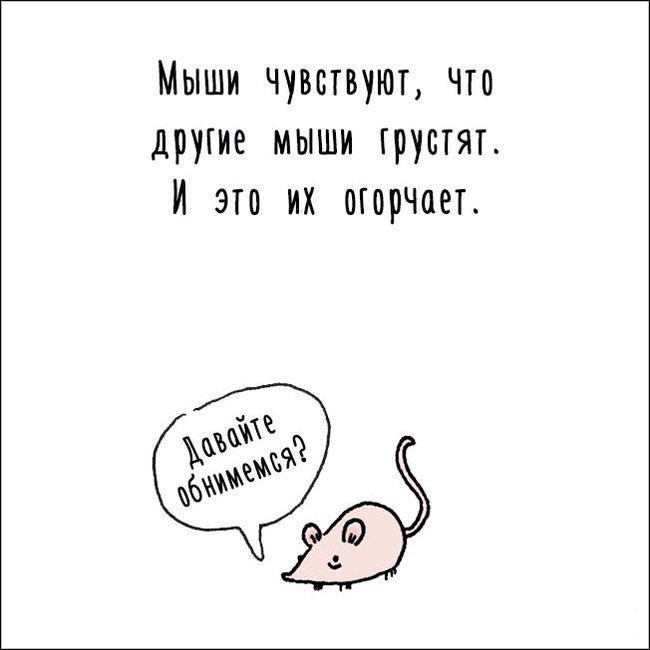 VeganSpace's tweet photo. #Веган #здоровье #советы #животные #интересно #интересныефакты #природа #красота https://t.co/idhTw5irA2
