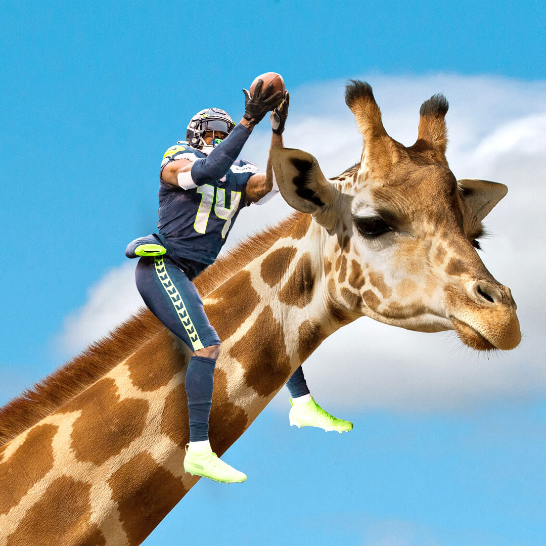 Seattle Seahawks (@seahawks) on Twitter photo #ProBowlVote
<a href="/GenoSmith3/">Geno</a> #JordynBrooks <a href="/_Tariqwoolen/">Tariq Woolen</a> <a href="/UchennaN_42/">Uchenna Nwosu</a> <a href="/NBELLORE54/">Nick Bellore</a> <a href="/JayMy_31/">Jason Myers</a> <a href="/TDLockett12/">Tyler Lockett</a> <a href="/dkm14/">DeKaylin Metcalf</a> <a href="/qdiggs6/">Nino</a> <a href="/CharlesC_67/">Charles Cross</a> #ProBowlVote
<a href="/GenoSmith3/">Geno</a> #JordynBrooks <a href="/_Tariqwoolen/">Tariq Woolen</a> <a href="/UchennaN_42/">Uchenna Nwosu</a> <a href="/NBELLORE54/">Nick Bellore</a> <a href="/JayMy_31/">Jason Myers</a> <a href="/TDLockett12/">Tyler Lockett</a> <a href="/dkm14/">DeKaylin Metcalf</a> <a href="/qdiggs6/">Nino</a> <a href="/CharlesC_67/">Charles Cross</a>