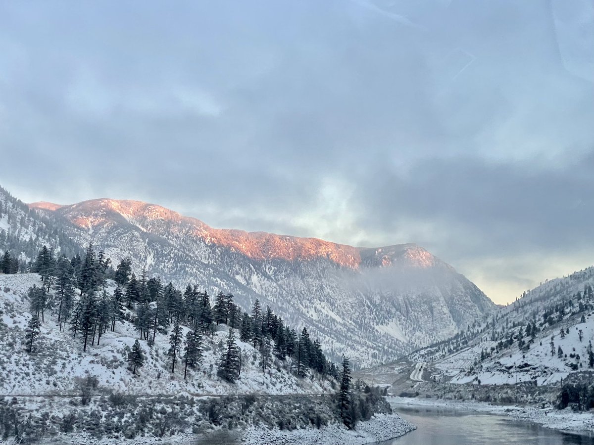 Aurelian Giles tweet media