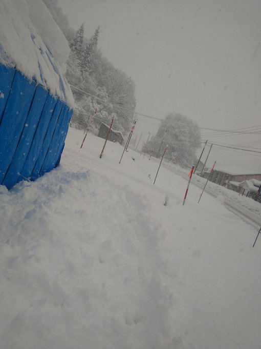 これが大雪だぞ 