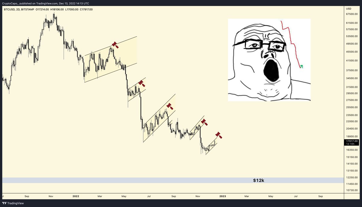 Cryptonit tweet media