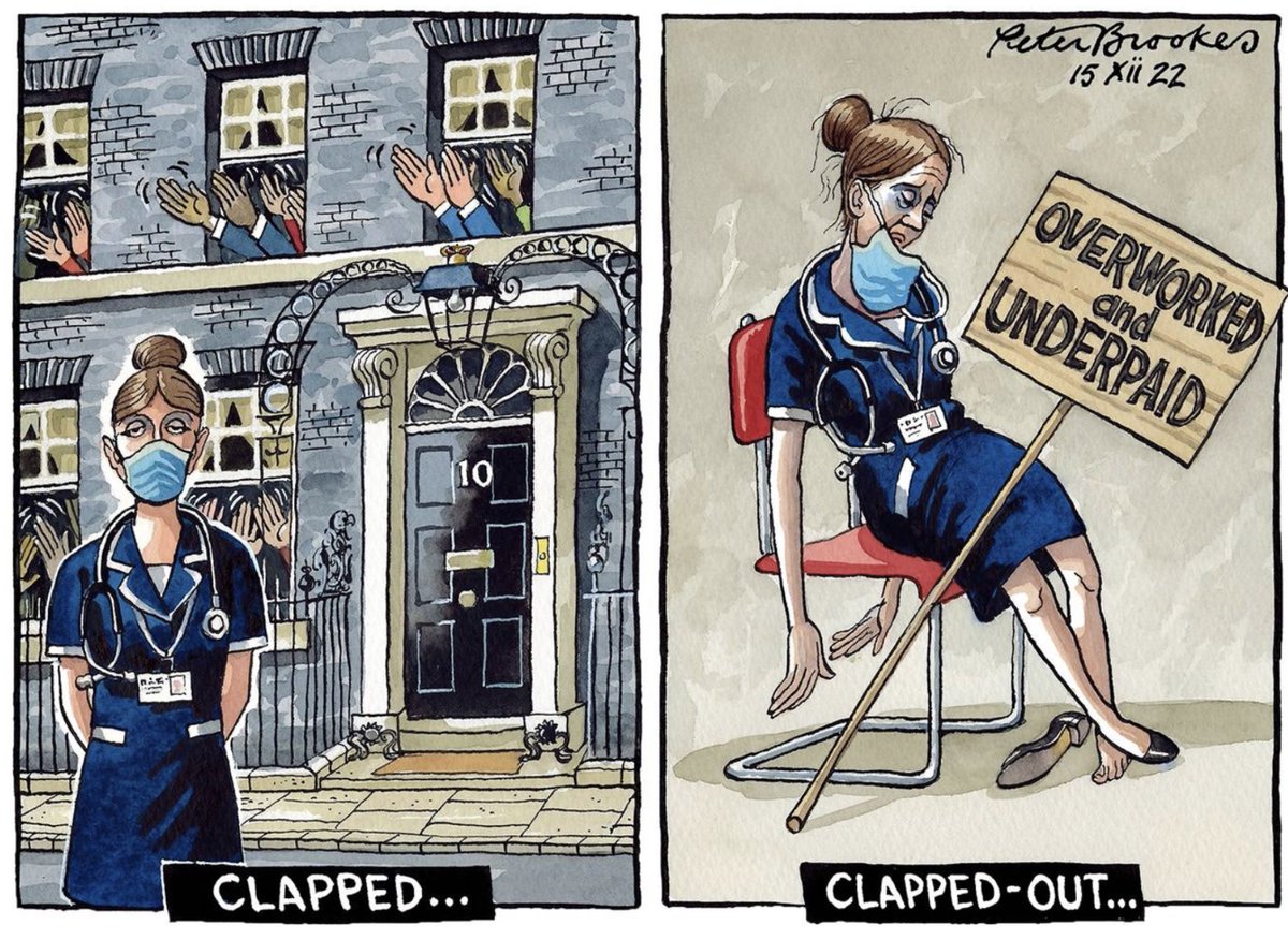 Peter Brookes on nurses