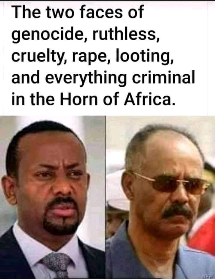 GebreNiguse's tweet photo. 📢The 🇪🇹 &amp; 🇪🇷 regimes are committing #TigrayGenocide for #772days now.But,the @POTUS adminstration make an invitation  the genocidal #AbiyAhmedAli to the #USAfricaLeadersSummit22  .It is very shame to the #US gov't for encouraging gonociders like #AbiyAhmed.  @UN @SecBlinken @VP https://t.co/X9qXUNMhxv