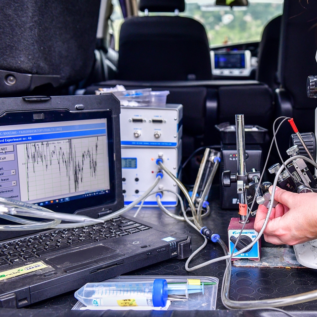 NICE Group tweet media