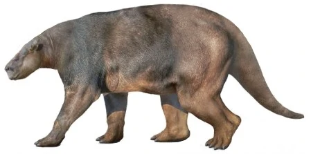 C. M. Kosemen tweet media