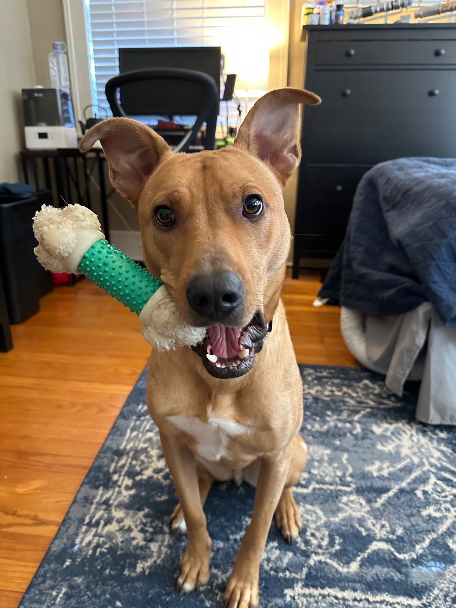 Daniel DeMoss tweet media