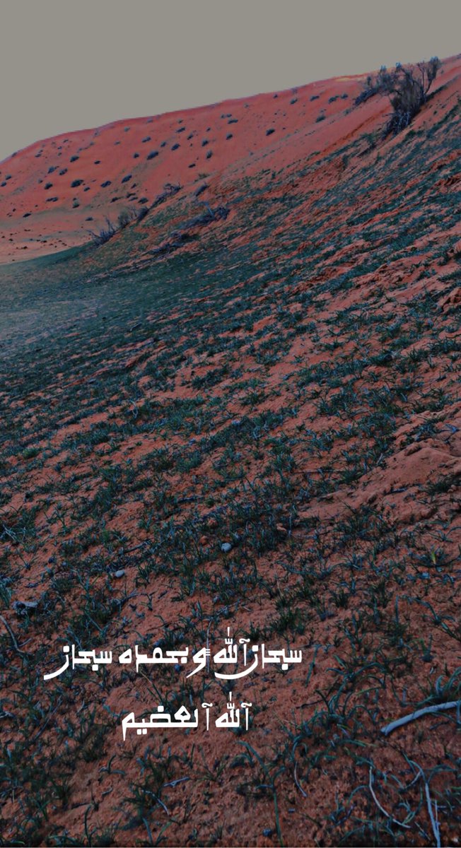 عبدالمجيد خليف الوايل (@mjj_087) on Twitter photo 