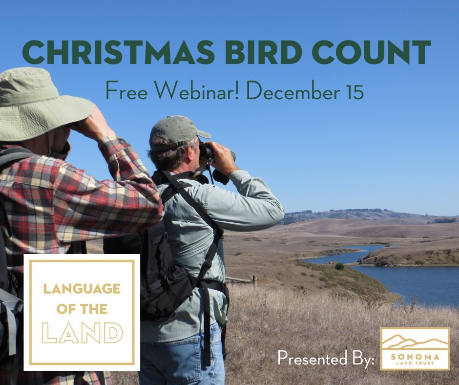 SonomaLandTrust's tweet photo. There is still time to sign up for tomorrow's FREE edition of #LanguageoftheLand - 12/15 at 7pm. Register and learn what #BirdsTellUs about climate and land cover change and what you can do to help protect them!
https://t.co/NRy9BBaD4x
#christmasbirdcount https://t.co/maRE5OX5sI