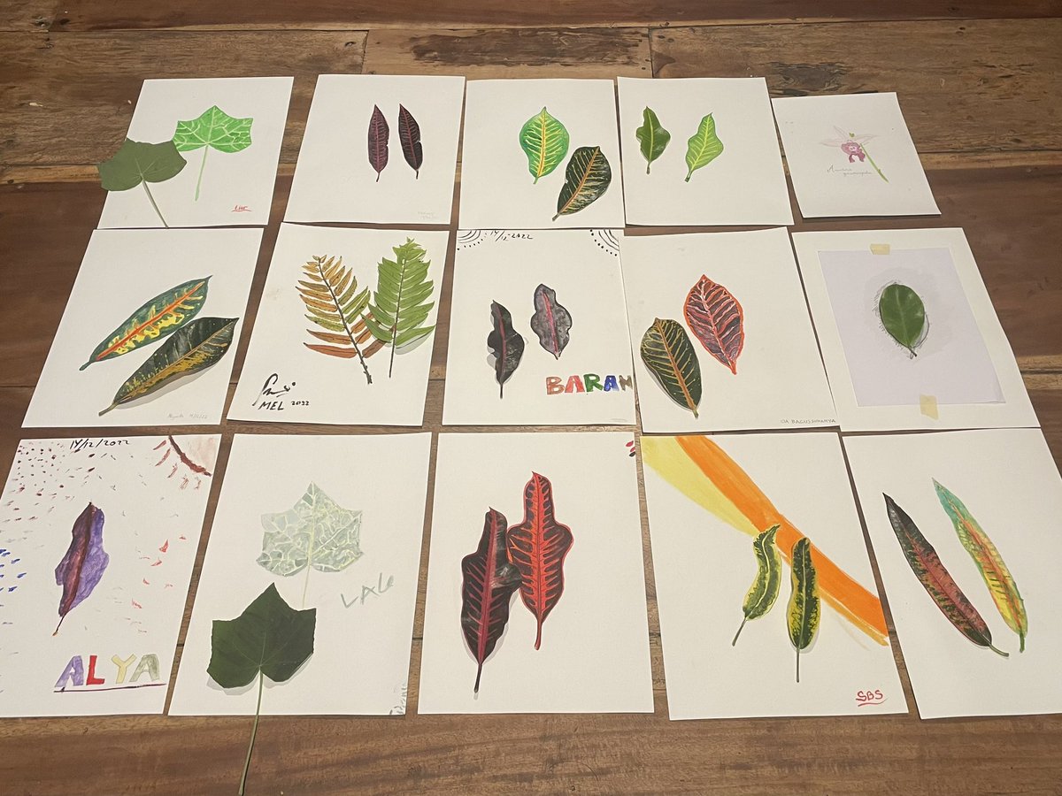 Vibrant Forest Landscapes tweet media