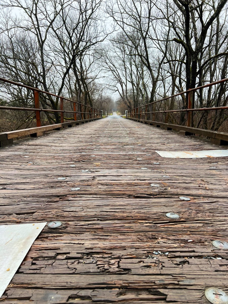 Johanna Schu tweet media