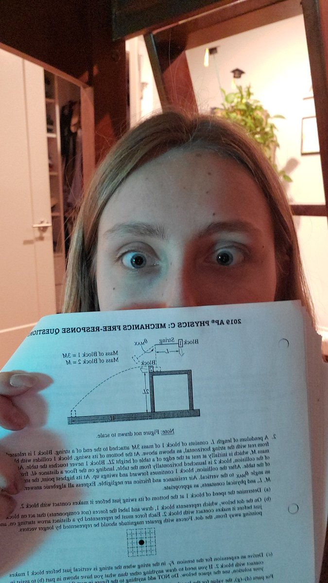 guppskii's tweet photo. Calculating the x displacement when I run out of my bedrom window at max velocity to see how far I can get away from this 200 page FRQ packet #physicist #RIPmysanity https://t.co/nluU1HLr5C