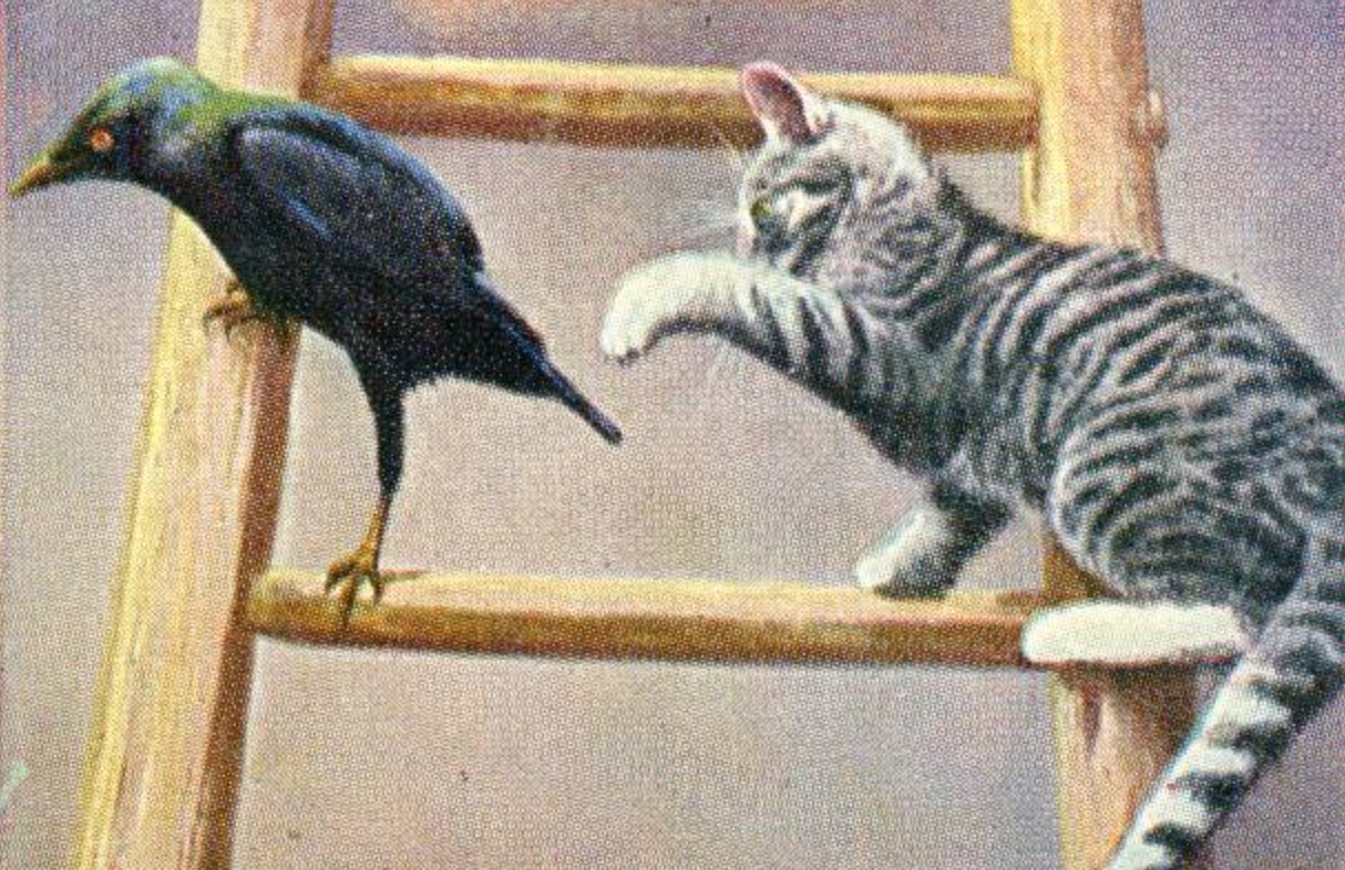 死NADE (@WlNDIR) / Twitter