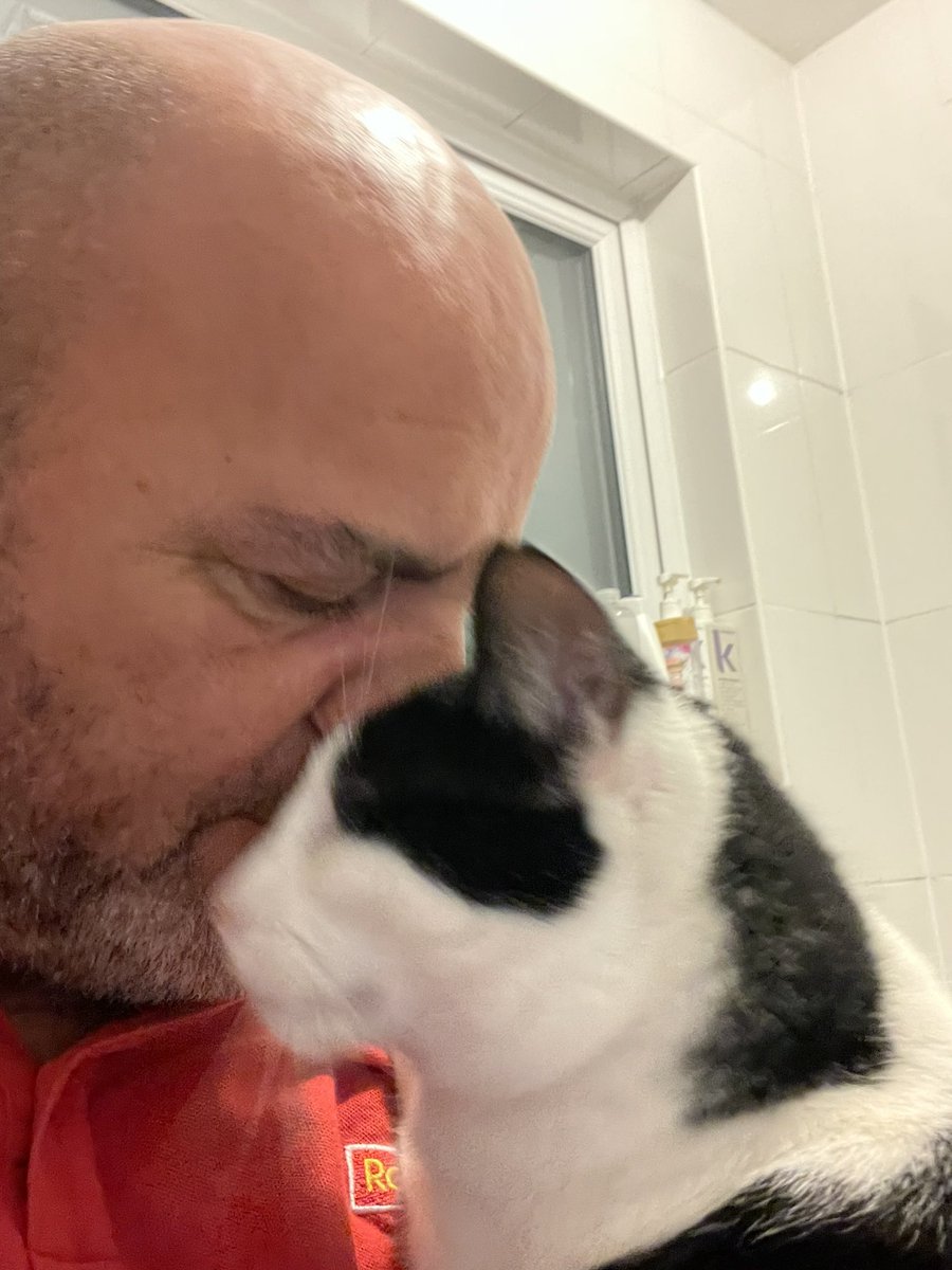 catbutlerdanny's tweet image. Good morning everyone 👋 Love, hugs and purrs to you all 🤍🖤🧡