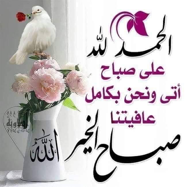 صباح الخــــير 🌷
