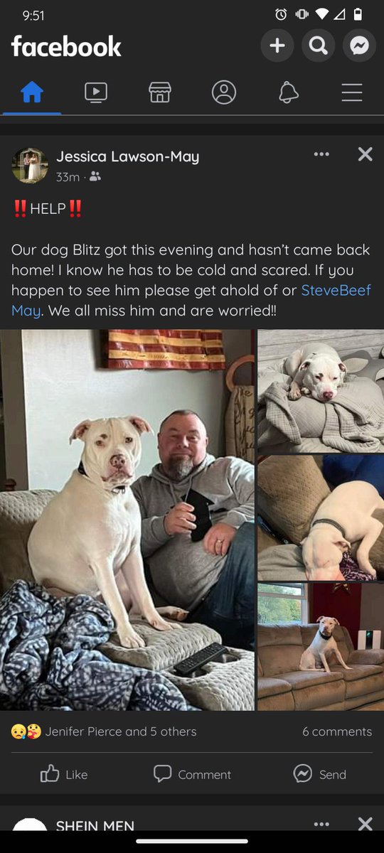 Hey all, if anyone sees this good boy near springport/Oakville let me know!