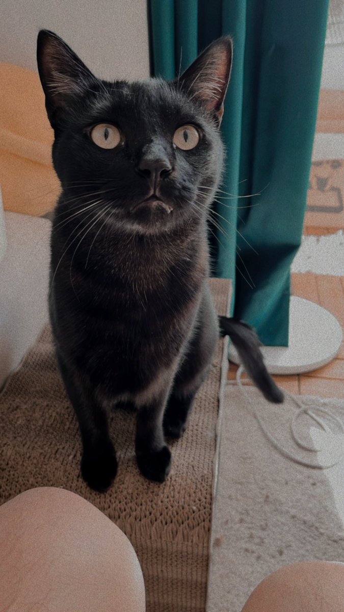 Tvdaiqbhdj7alm Tvdaiqbhdj7alm