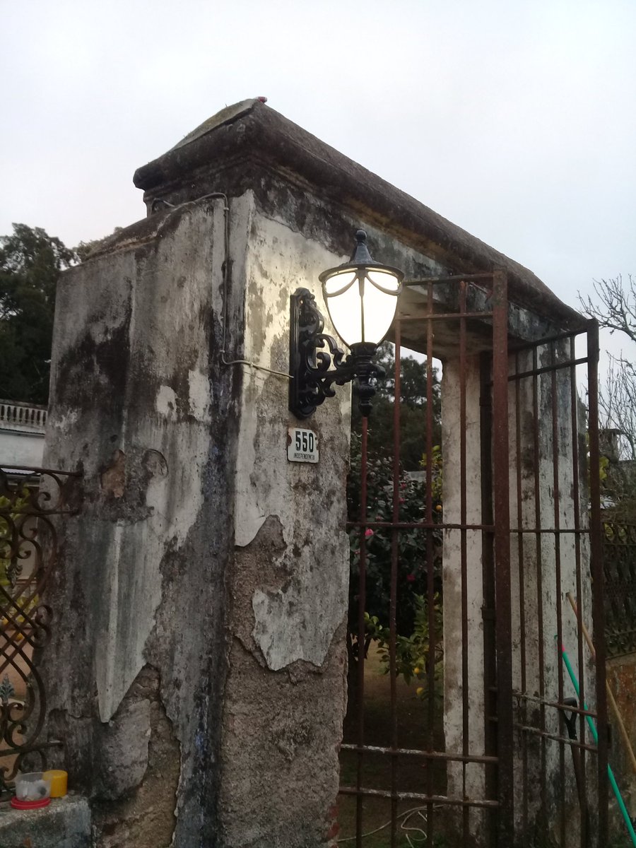 Condeperdigon's tweet image. 