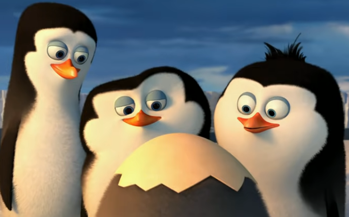 #YOHO makes miracles happen every day😍