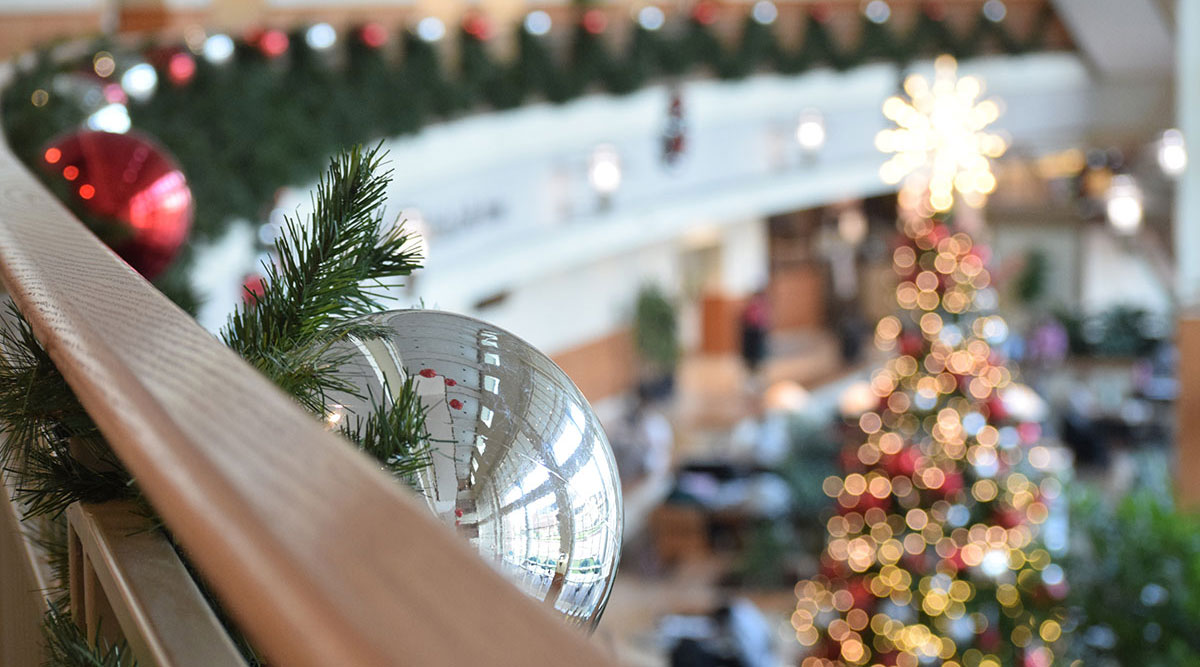 Campus is never more beautiful than at Christmas. 🐻🎄✨

[More photos: bit.ly/3VXU0ZB]