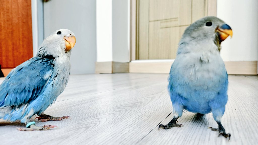 오비앵짹의 현장