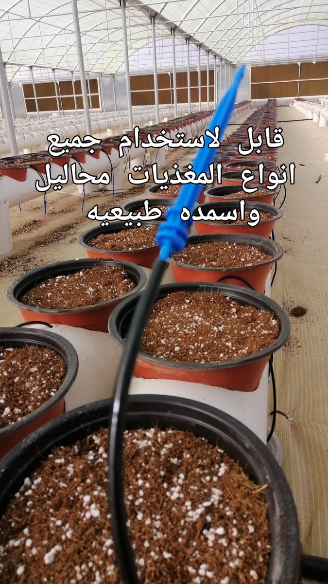 EXLUAE's tweet photo. أنظمة هايدوبونك جافه تصلح لجميع أنواع المزروعات الخضريه والورقيه والمستدامه وفي الهواء الطلق ايضا تمكنكم انظمتنا من الزراعه تماما كما هي الزراعه بالأرض حتى النباتات الطويله فهي مثبته بطرق تجعلها لاتتاثر بالعواصف لقد حققنا نقله نوعيه في صناعة أنظمة الزراعة المائيه https://t.co/eZjiKGctm0