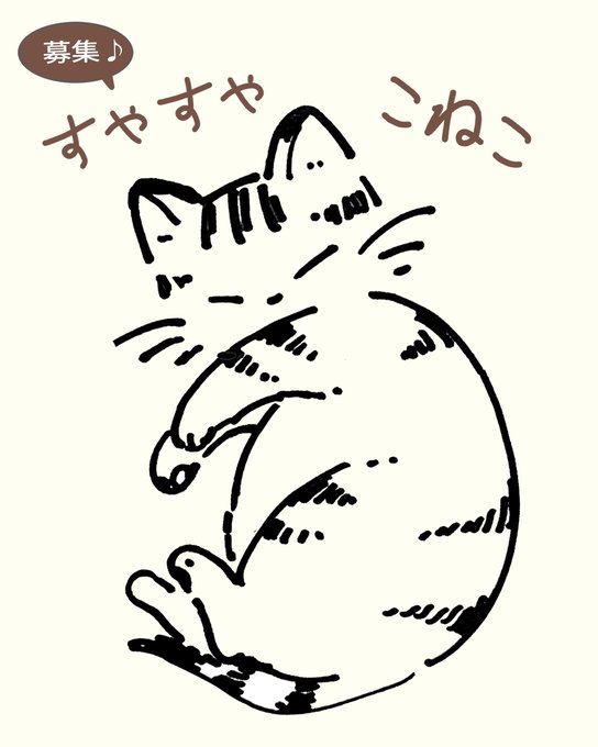 【🐱写真募集✨】
子猫がすやすや…と眠ったり、飼い主さんの手の平を枕にしているお写真を大募集します!
もちろん、猫ベッドや毛布で眠る子猫さんも大歓迎♪

リプライで送ってくださいニャ～💕 