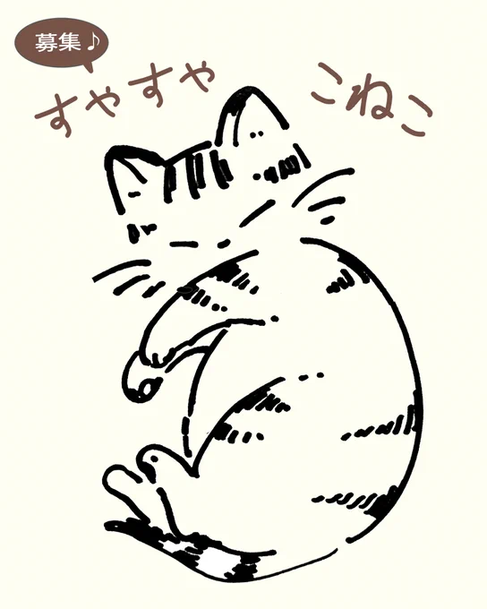【🐱写真募集✨】
子猫がすやすや…と眠ったり、飼い主さんの手の平を枕にしているお写真を大募集します!
もちろん、猫ベッドや毛布で眠る子猫さんも大歓迎♪

リプライで送ってくださいニャ～💕 