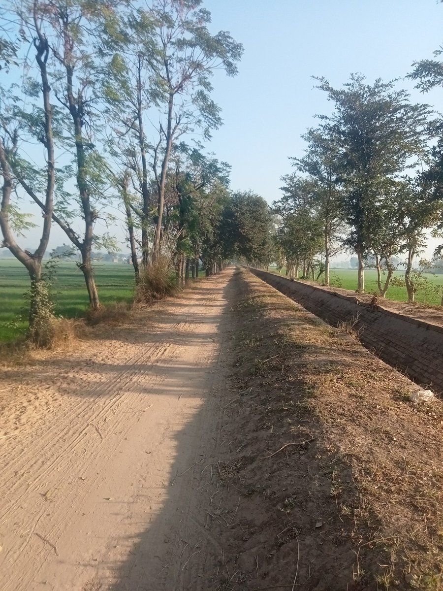 BlueEra01's tweet photo. #village_life https://t.co/8Z2u10ookn