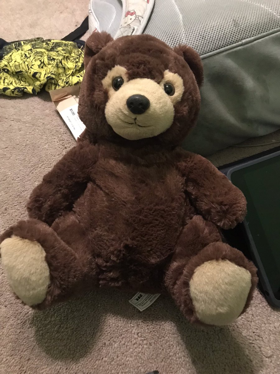 sticksrocks_mud's tweet photo. i got this heated stuffed animal he is now my favorite thing ever https://t.co/ksH0jpNmep