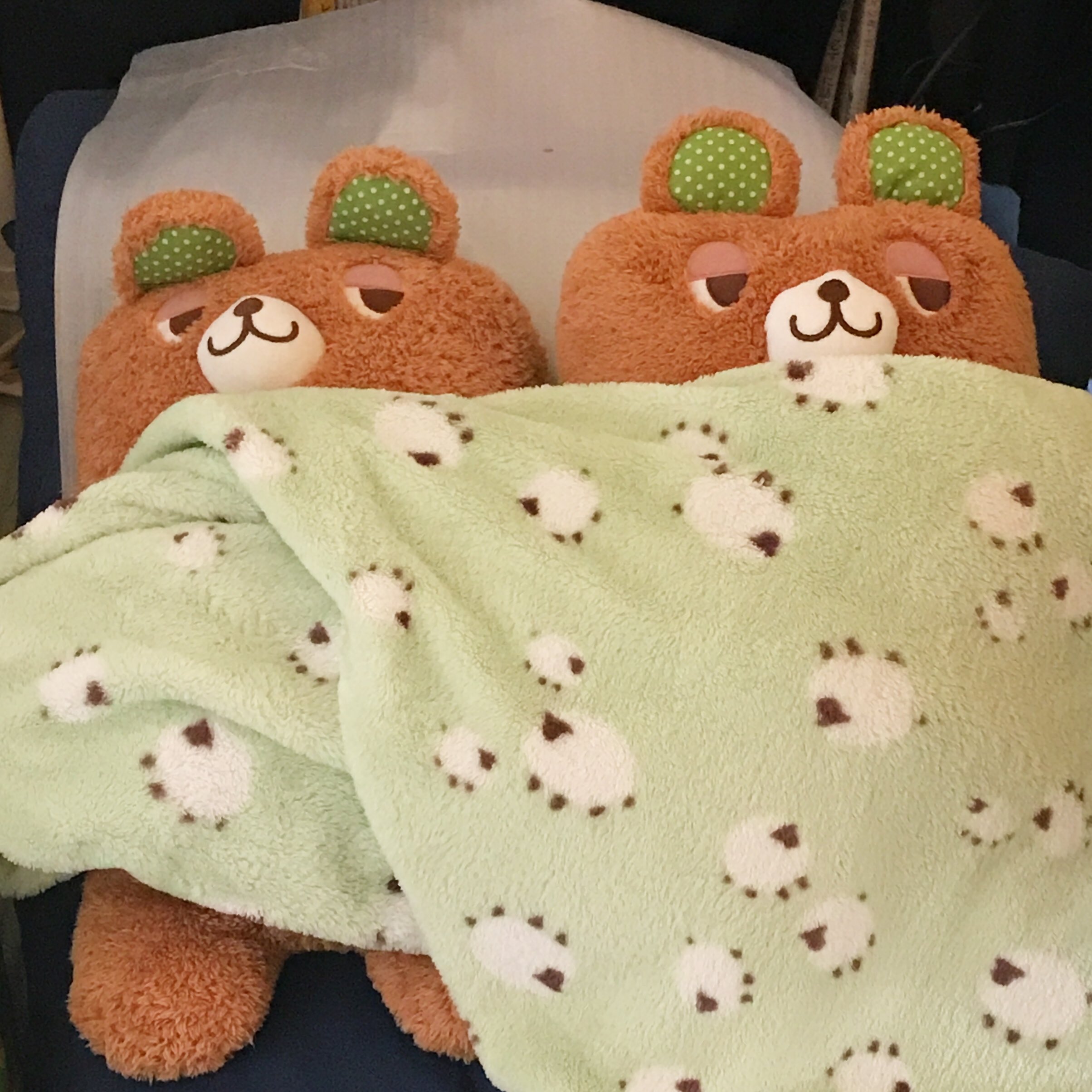 ぐーたらポッケのポッケちゃ🐸 (@Pokke_pokepoke) / X