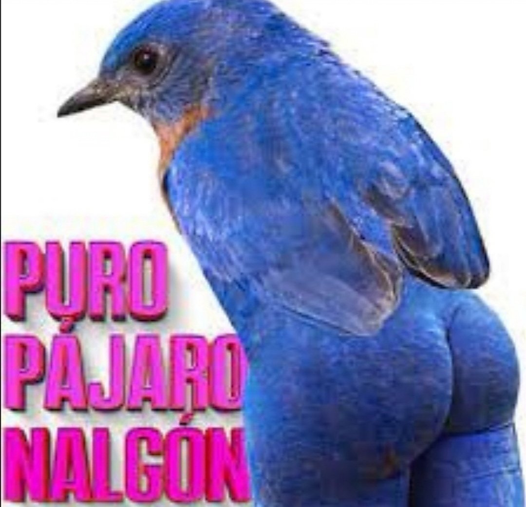 Marta Elena Rodríguez (@MarHelenRod1018)  X